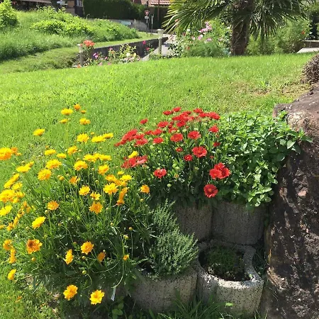 Maison De La Sauer - | D’hôtes | 3* Munchhausen