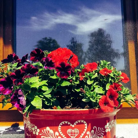 Maison De La Sauer - | D'hotes |