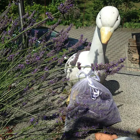 Maison De La Sauer - | D’hôtes | 3*